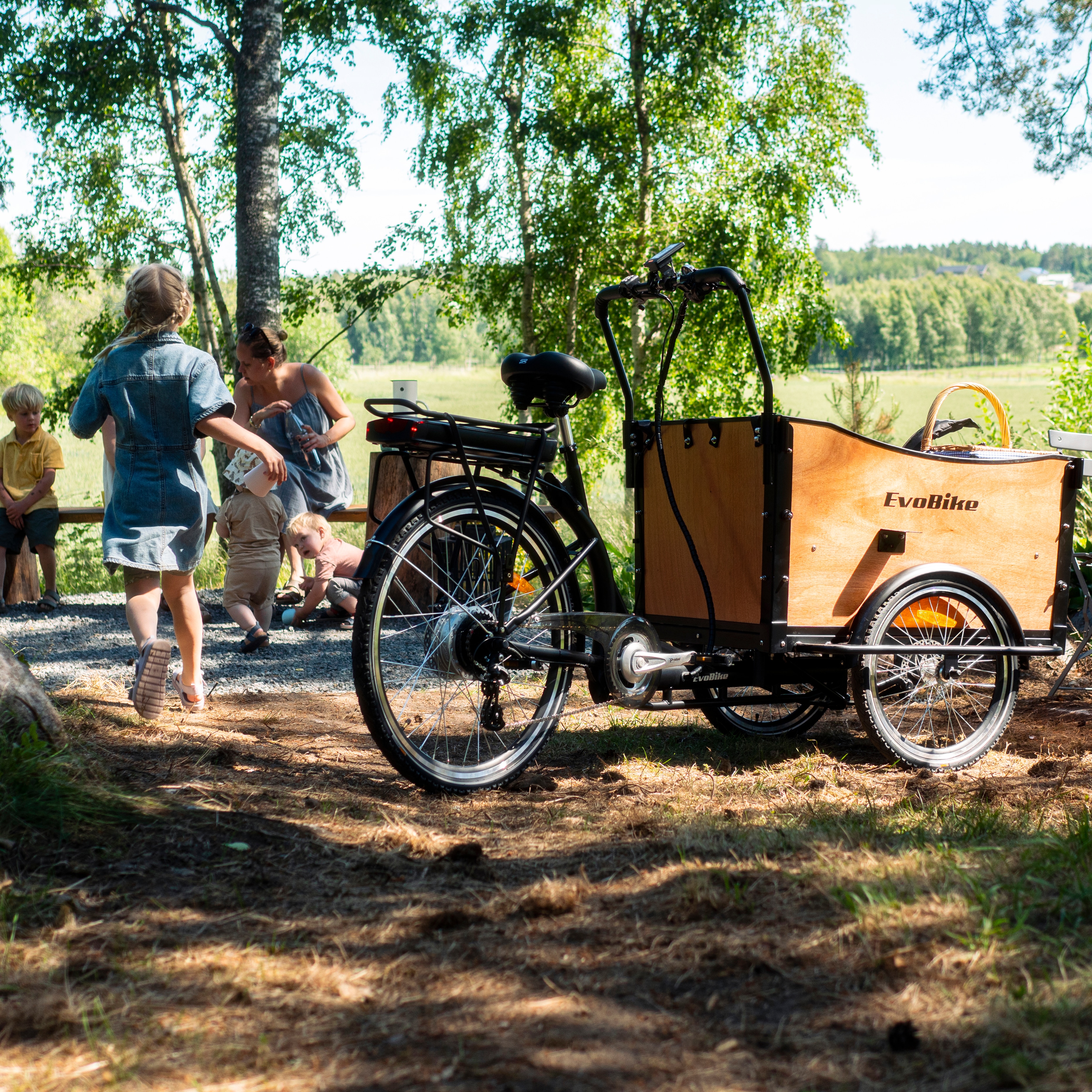 Ladcykel Evobike Cargo Classic